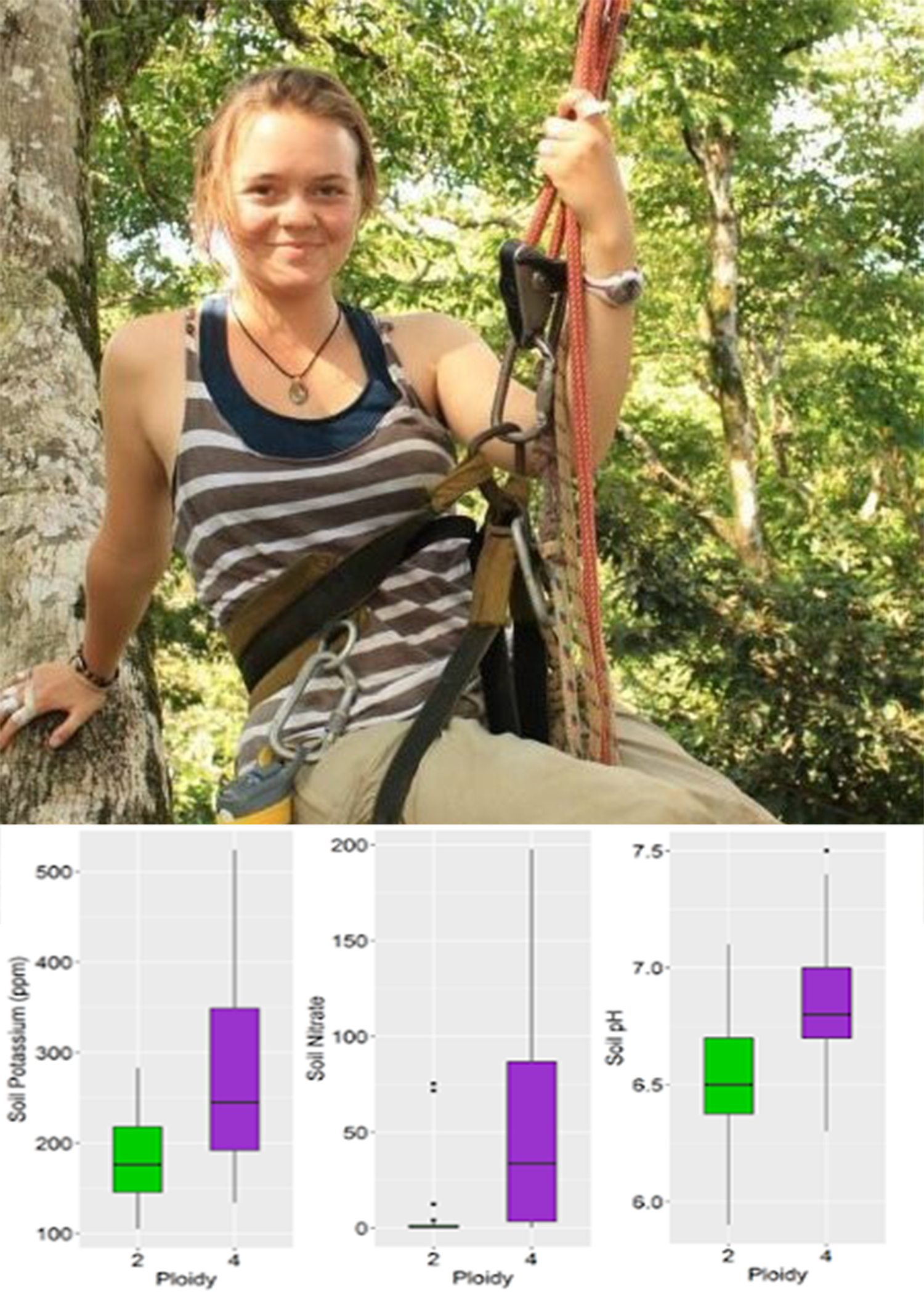 three graphs and image of Alex VanTill in forest