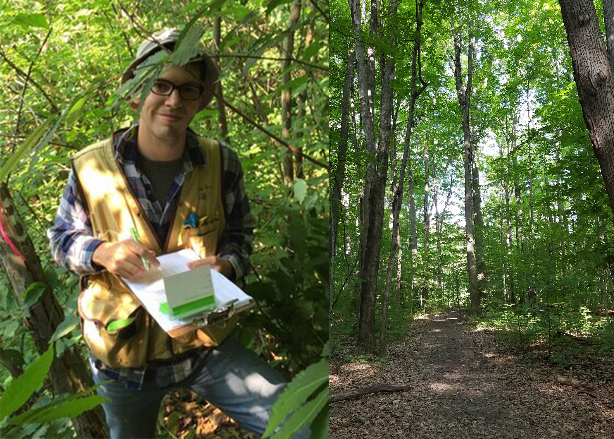 Left: man in woods. Right: open woods with path