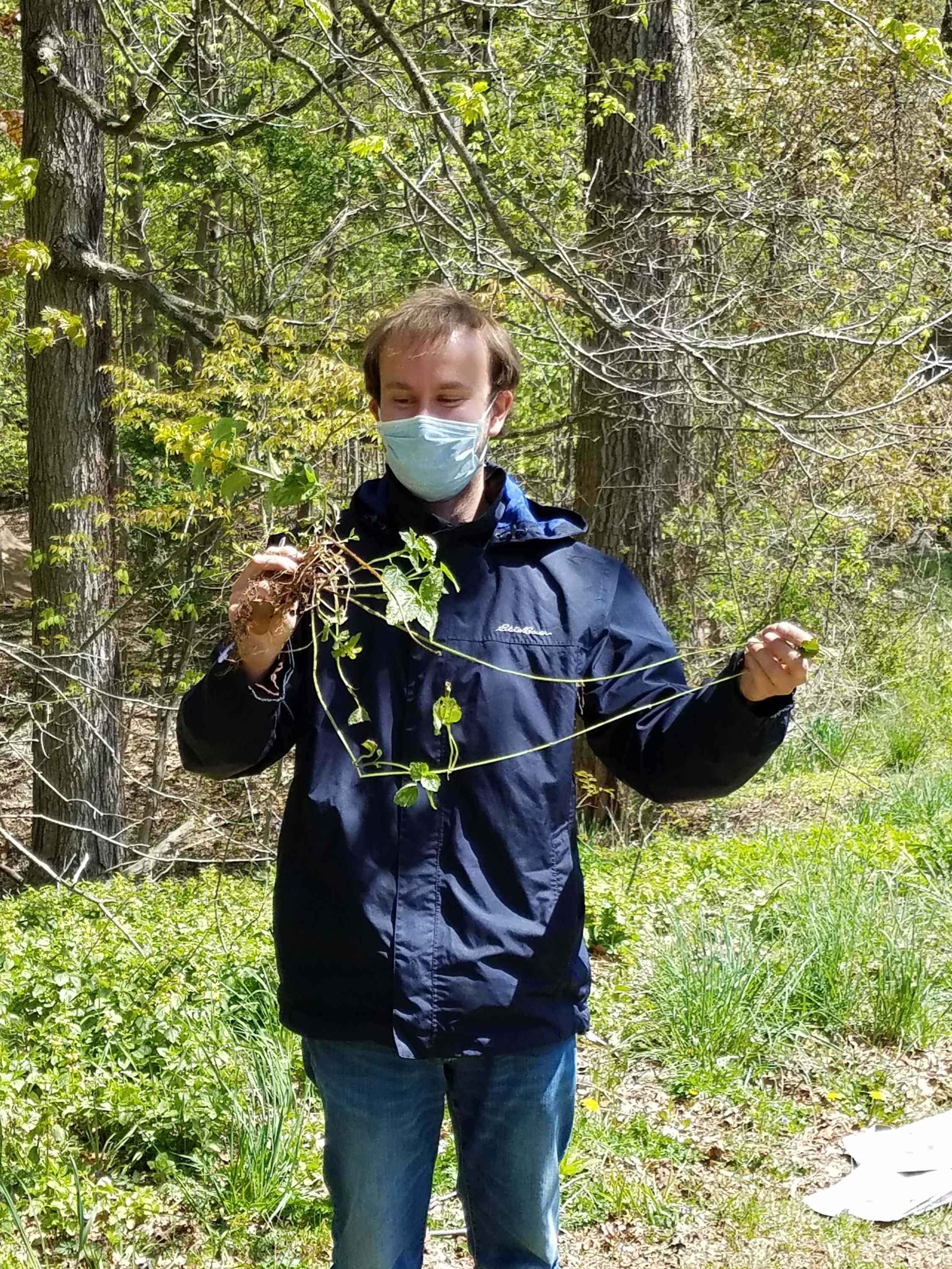 Man in woods holing plant