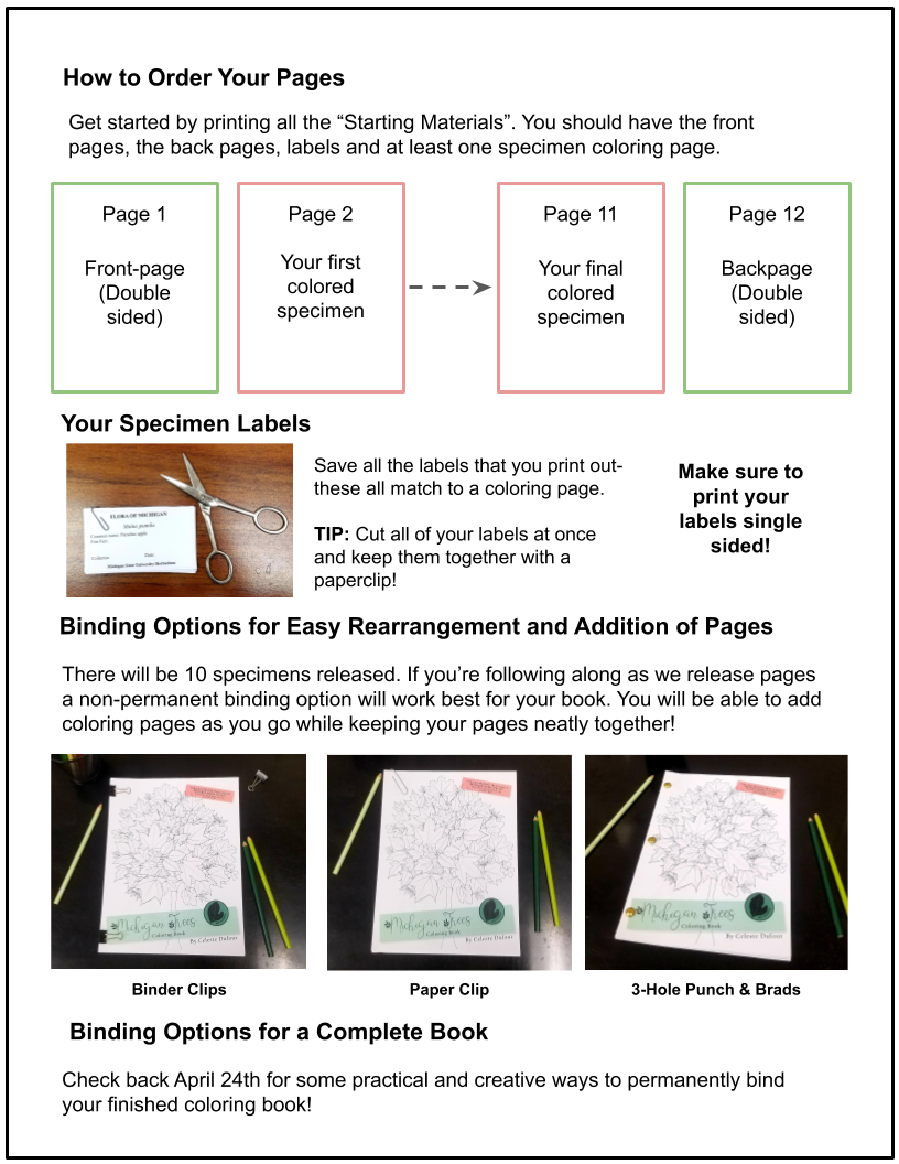Assembling and Binding Your Book