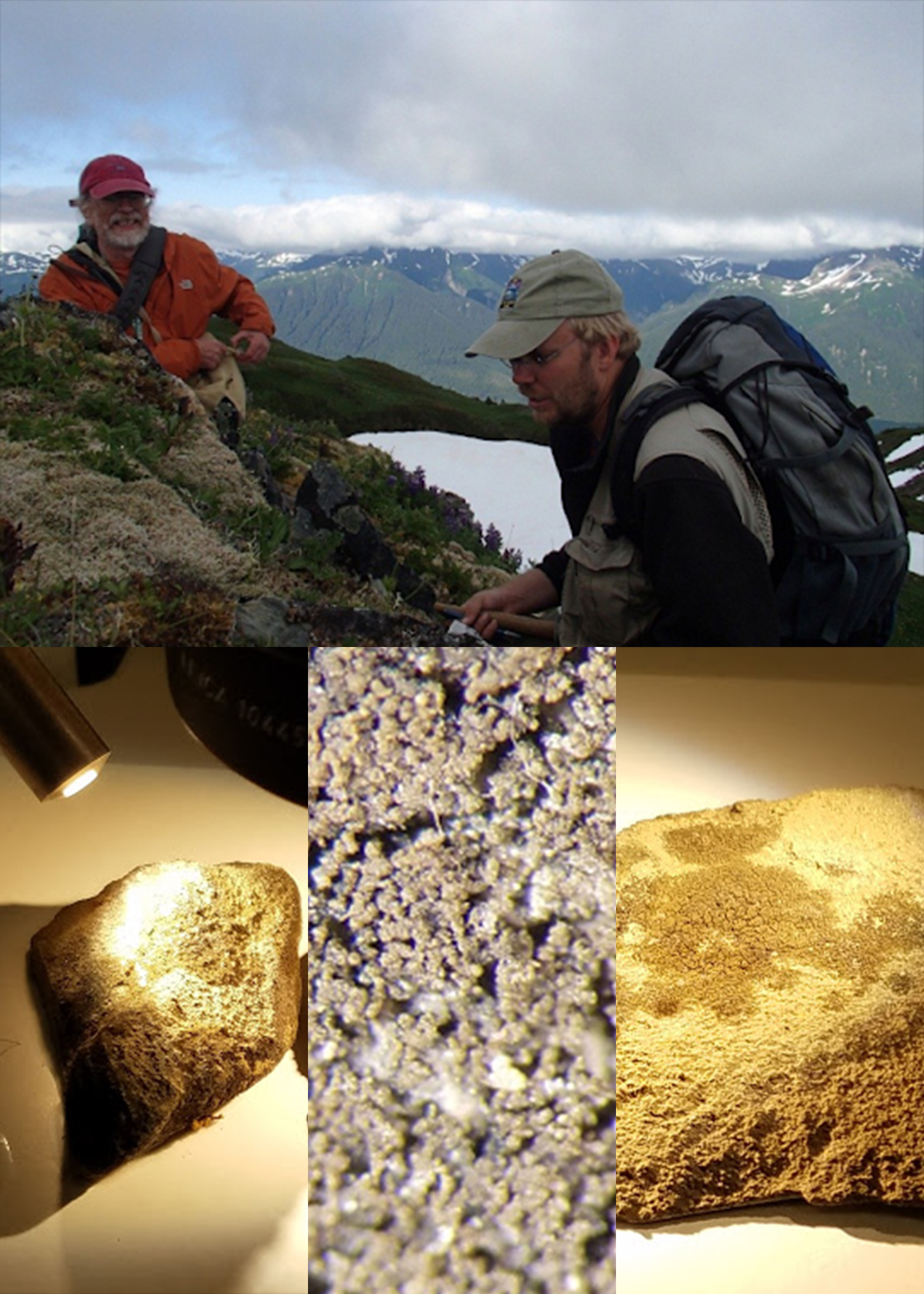Top: two men on a mountain. Bottom: three images of lichen species on rocks