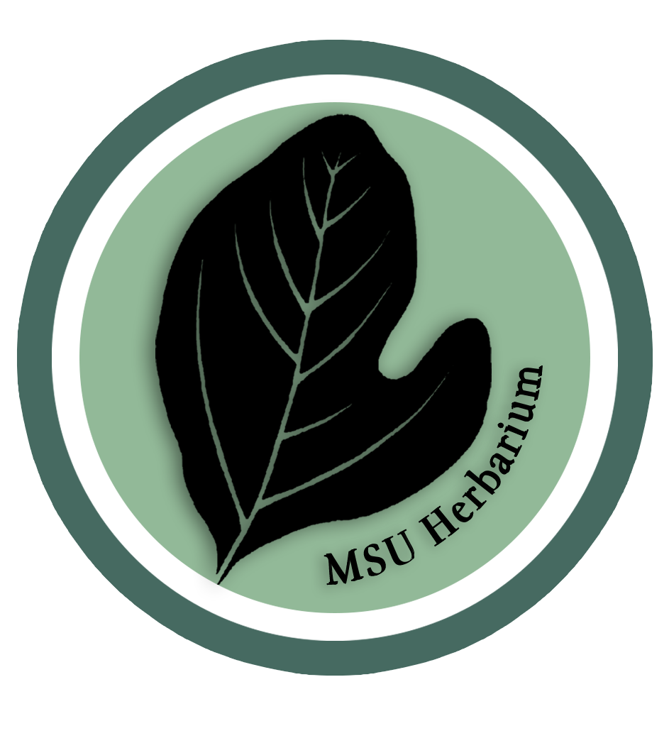 Herbarium Logo