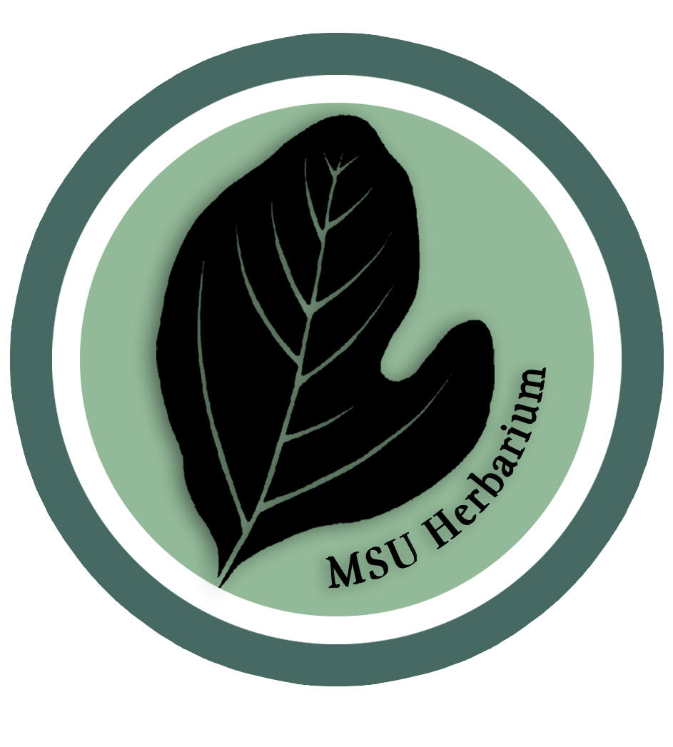 MSU Herbarium Logo