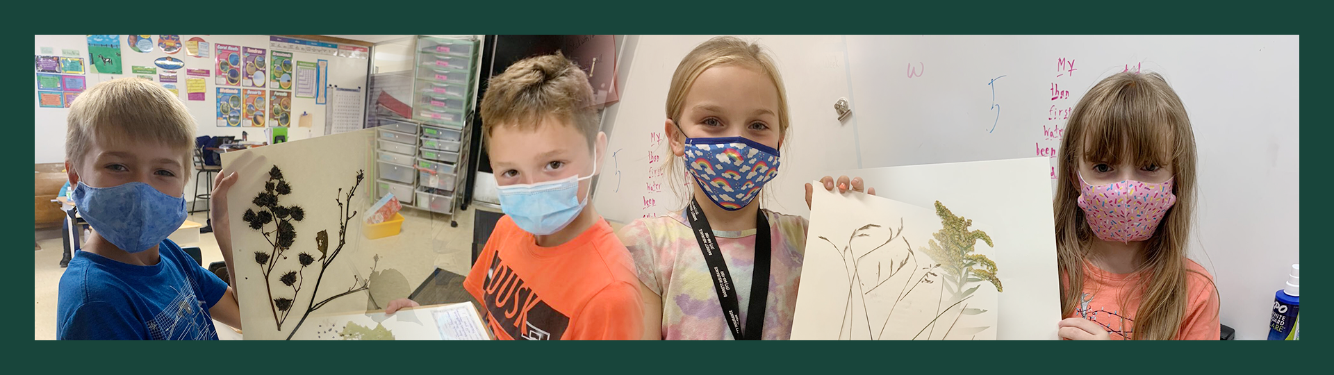 Merged images of four children holding plant specimens