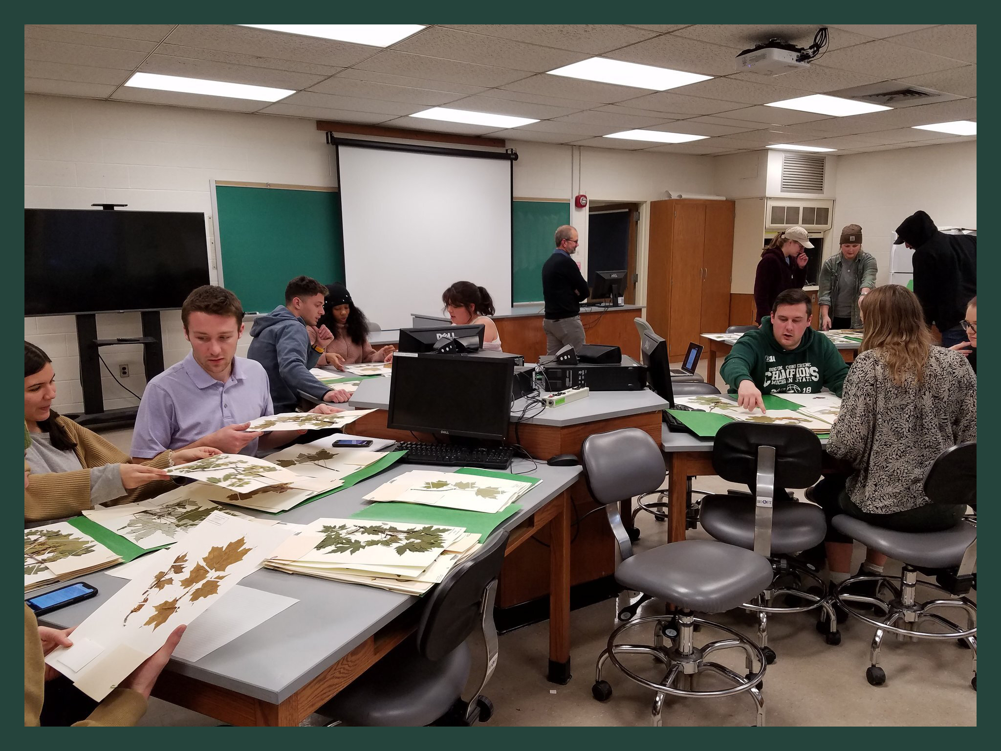 Classroom with students inspecting pressed plant specimens