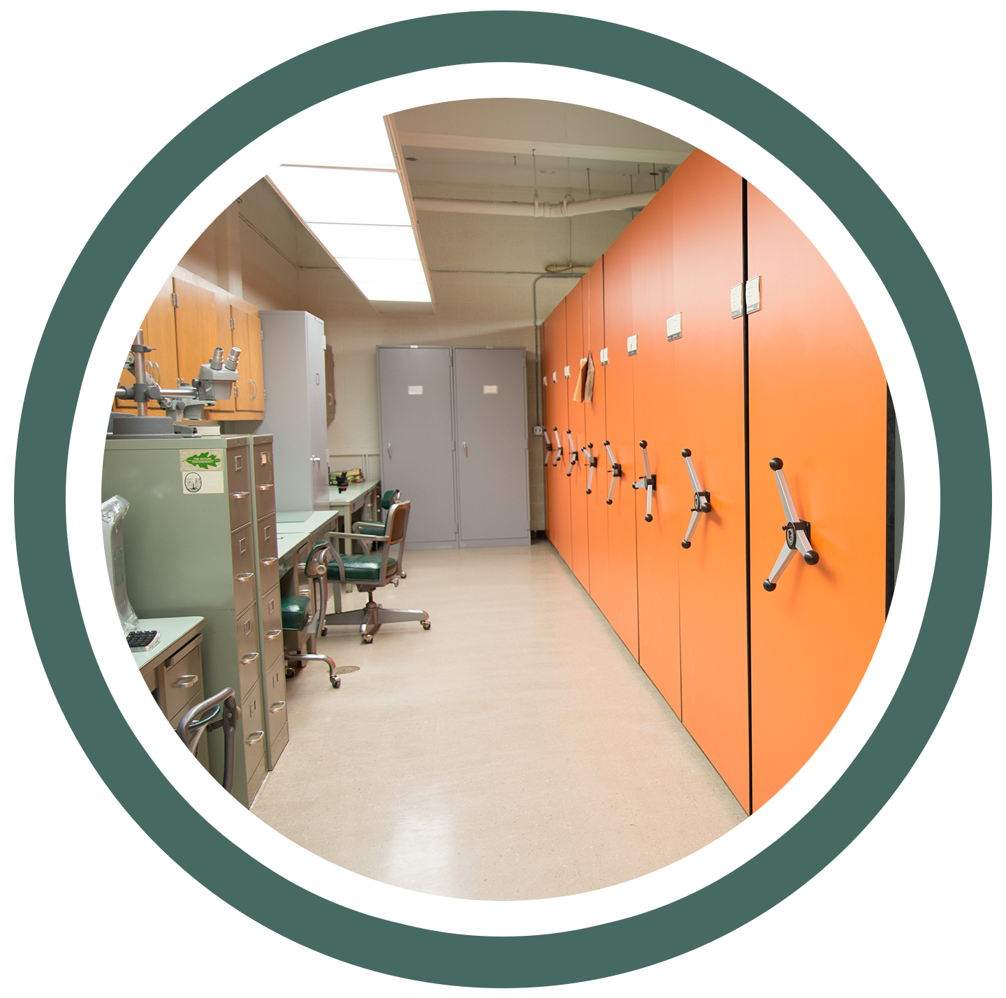 Image of herbarium cabinets and desks